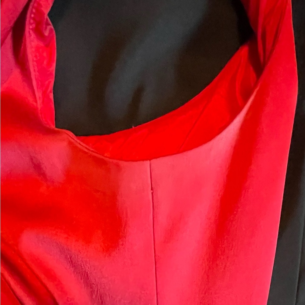 Red Dress - Picture 3 of 3